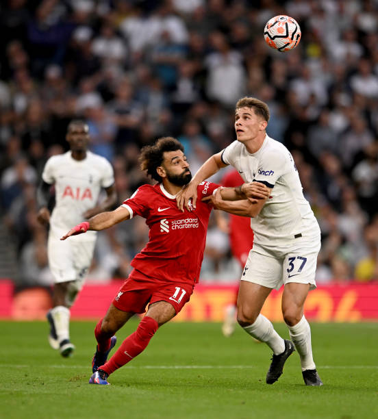 畏的斗志 畏的斗志