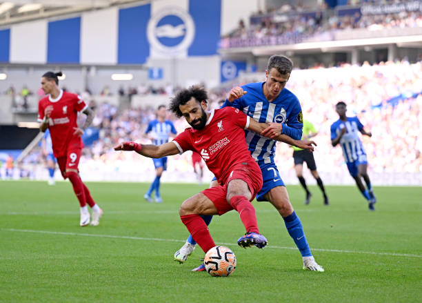 正是因为这 正是因为这